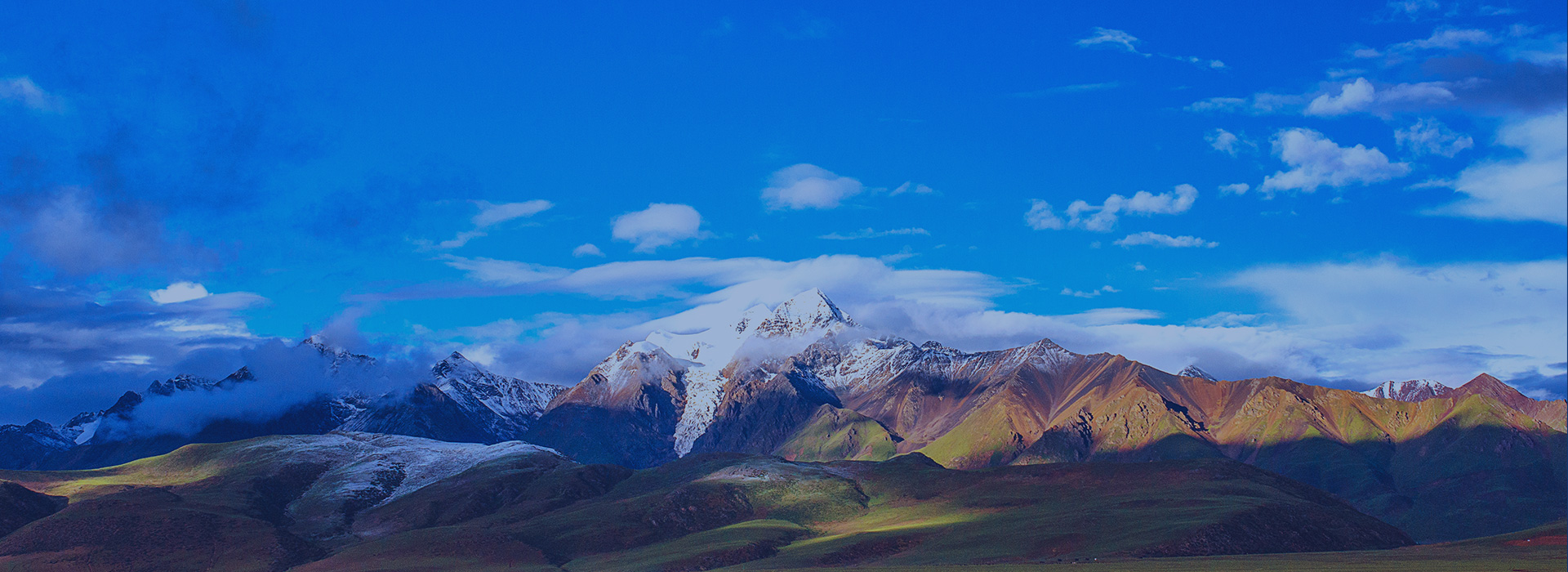 ag亚娱集团·(中国)官方网站